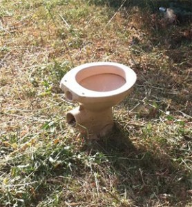 topeeornottopee
